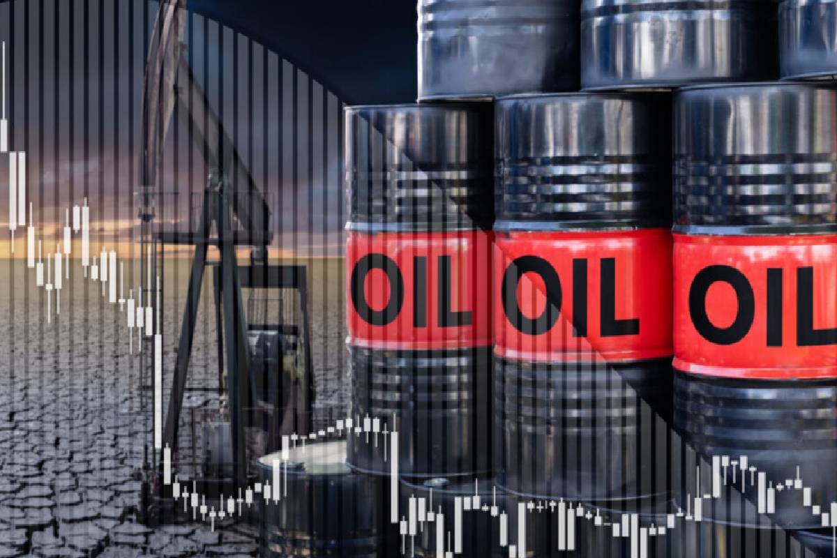 திடீரென நிறுத்தப்பட்ட எரிவாயு கப்பல் போக்குவரத்து! எண்ணெய் விலை குறித்து OPEC+ அவசர முடிவு | Urgent Decision By Opec On Oil Prices