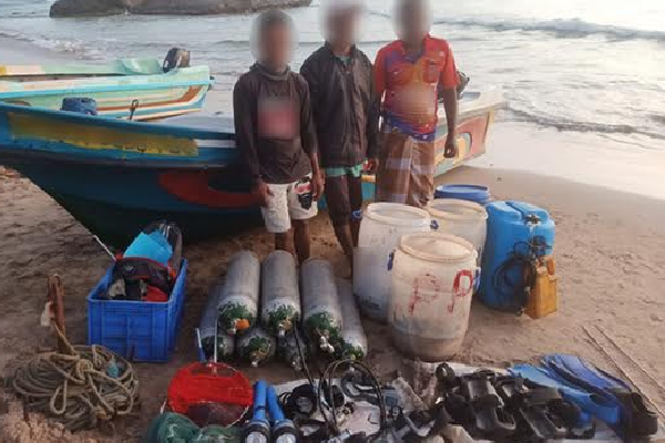 திருகோணமலையில் சட்டவிரோத கடற்றொழில் நடவடிக்கையில் ஈடுபட்ட 10 பேர் கைது! | Illegal Fishing Activities Arrested In Trincomalee