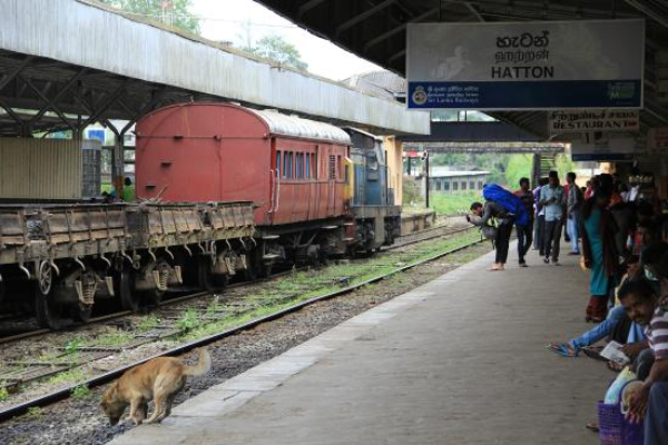 எரிபொருள் பற்றாக்குறை: இருளில் மூழ்கும் ஹட்டன் தொடருந்து நிலையம்! | Hatton Railway Station Remains Dark At Night