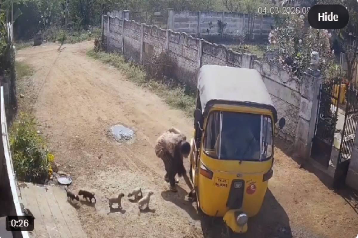 குட்டி நாய்களை சுவற்றில் வீசி சித்திரவதை செய்யும் பெண் - பதற வைக்கும் காட்சி | Woman Puppies Throwing A Wall Viral Video