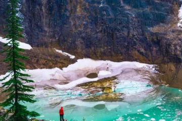 2022இல் புலம்பெயர்தல் தொடர்பில் கனடா வெளியிட இருக்கும் முக்கிய அறிவிப்பு