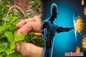 வெறும் வயிற்றில் இந்த இலை இரண்டு சாப்பிடுங்க - நோய் எதிர்பு சக்தி அதிகமாகும்