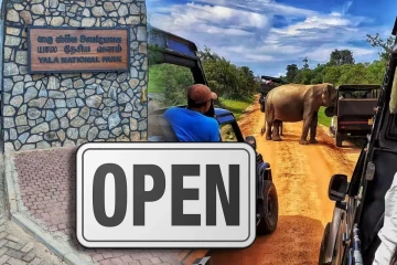 மீண்டும் திறக்கப்படவுள்ள யால தேசிய வனத்தின் 2 வலயங்கள்!