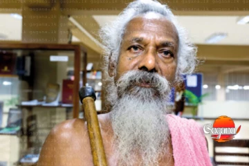 ඌරුවරිගේ වන්නිල ඇත්තෝ මේ විනාසෙට හේතුව හෙළි කරයි