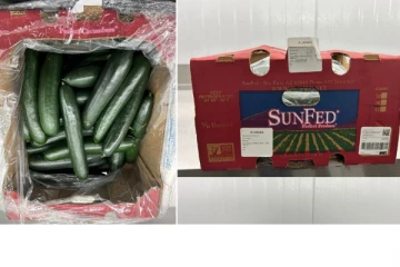 கனடாவில் வெள்ளரிக்காய் குறித்த எச்சரிக்கை