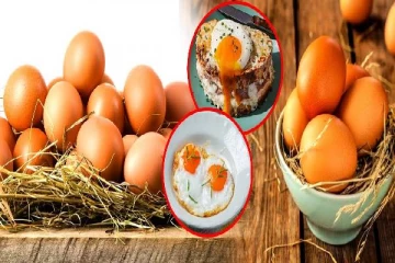 தினசரி முட்டை சாப்பிடுவது ஆரோக்கியமானதா? எத்தனை சாப்பிடலாம்?