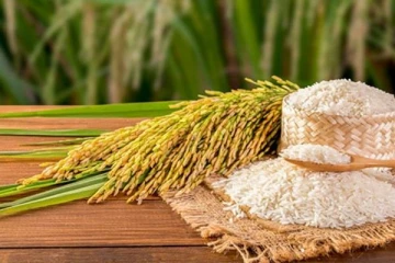 வெளியானது அதிவிசேட வர்த்தமானி அறிவித்தல்!