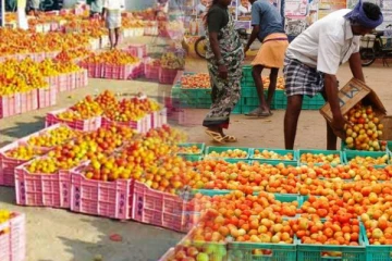 1 ரூபாய்க்கு ஒரு கிலோ தக்காளி- வரத்து அதிகரித்ததால் விவசாயிகள் வேதனை
