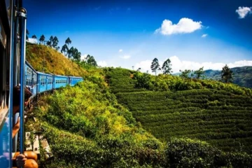 නුවරඑළියේ යනවනම් අත්‍යවශ්‍යම දුරකථන අංකයක් - විශේෂ දැනුම්දීමක්..!