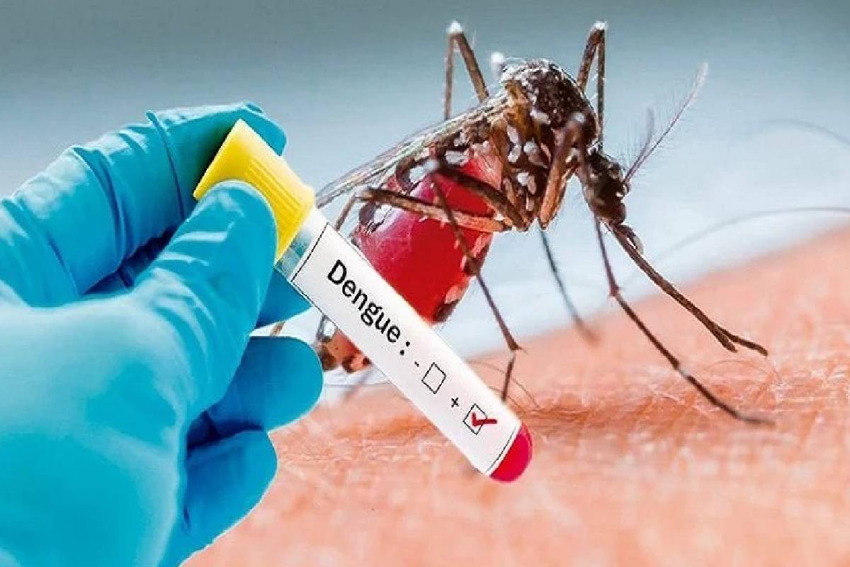 டெங்கு பரவல் குறித்து சுகாதார அமைச்சு எச்சரிக்கை! | Health Ministry Warns Of Dengue Outbreak