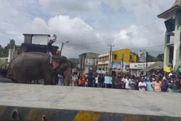 பலாங்கொடை நகரை ஆக்கிரமித்த மக்கள் திரள்(Photos)