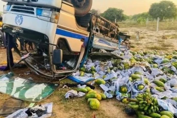 பெருமளவு பழங்ளோடு குடைசாய்ந்த டிப்பர் ; தமிழர் பகுதியில் சம்பவம்