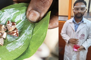 බුලත්විටත් එක්ක කන රෝස හුණු වලින් සොයාගත් පිළිකාකාරකය.