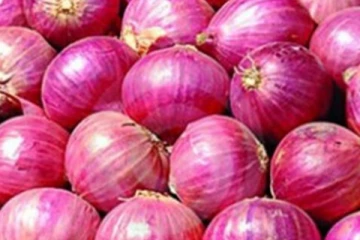 பிலிப்பைன்ஸில் தலை சுற்ற வைக்கும் வெங்காயத்தின் விலை