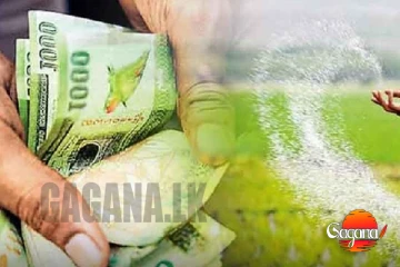 පොහොර සහනාධාරය ගැන විශේෂ ප්‍රකාශයක්