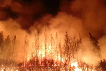 நடப்பாண்டில் அமெரிக்காவில் ஏற்பட்ட பாரிய அனர்த்தம்!