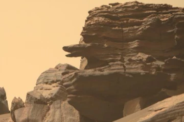 செவ்வாய் கிரகத்தில் தென்பட்ட ராட்சத பாம்பு தலை.... அதிர்ந்து போன விஞ்ஞானிகள்