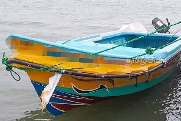 மன்னாரில் ஆமை இறைச்சியுடன் மூவர் கைது! | 03 Suspects With Turtle Meat And Eggs Mannar