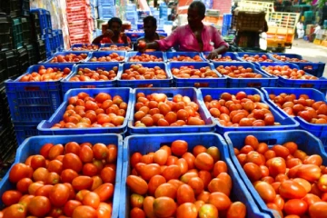 அதிரடியாக குறையும் விலை - இன்று தக்காளியின் விலை தெரியுமா?