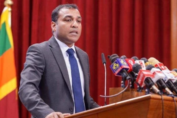 நாடாளுமன்ற உறுப்பினர்களிடம் நூற்றுக்கணக்கான ஆயுதங்கள் - பாதுகாப்பு இராஜாங்க அமைச்சர் தகவல்