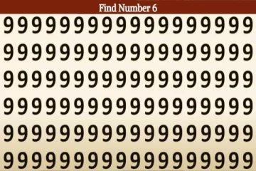 Optical Ilusion: கண்பார்வையை சோதிக்கலாம் படத்தில் 6 எங்கே மறைந்துள்ளது?