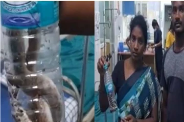 மகனை கடித்த பாம்புடன் மருத்துவமனை வந்த தாய்! பின்னணியில் நடந்தது என்ன?
