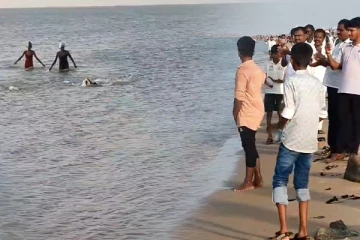 தலைமன்னார் - தனுஷ்கோடி இடையில் சாதனை படைத்த இளைஞர்கள்