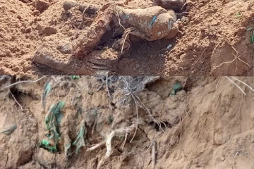 මිනිස් අස්ථි කොටස් සමඟ මතුවූ අමුතුම දේවල් මෙන්න.(PHOTOS)