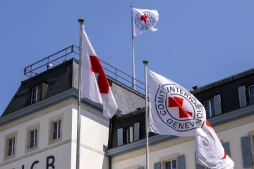 வெளிநாட்டில் பிடித்துவைக்கப்பட்டுள்ள ஜேர்மன் செவிலியர்: விடுவிக்க கோரிக்கை