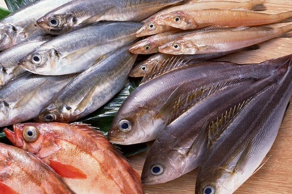 உடல் எடையை குறைக்க இதில் ஒரு உணவை உட்கொள்ளுங்க | Eat One Of These Foods To Lose Weight