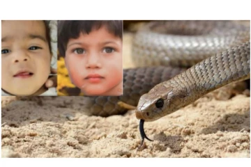 பாம்பு கடித்த 2 சிறுமிகளை குணமாக்க சாமியாரிடம் சென்ற பெற்றோர் - மூடநம்பிக்கையால் சிறுமிகள் உயிரிழந்த சோகம்!