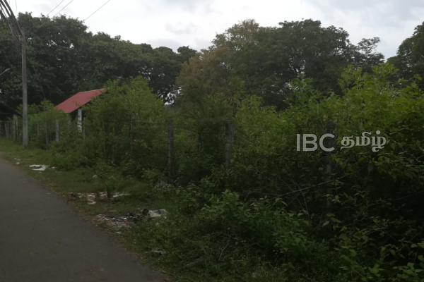 யாழில் பற்றைக்காடாக காட்சியளிக்கும் இந்து மயானம் | Hindu Cemetery In Jaffna Which Looks Like Forest
