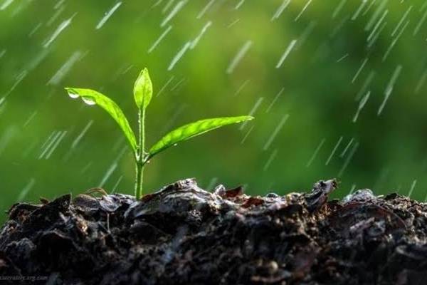 மழை பெய்யும் போது வரும் மண்வாசனை ஏன் நமக்கு பிடிக்கிறது? பலரும் அறியாத தகவல் | Why Does It Smell Earthy When It Rains மழை பெய்யும் போது வரும் மண்வாசனை ஏன் நமக்கு பிடிக்கிறது? பலரும் அறியாத தகவல் | Why Does It Smell Earthy When It Rains