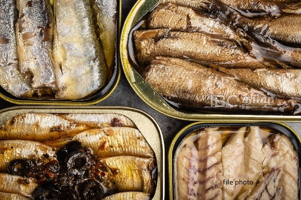 மனித பாவனைக்கு தகுதியற்ற ரின்மீன்கள் இறக்குமதி | Old Fish Cans From Abroad Arrived In Sri Lanka