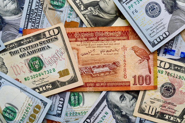 டொலரின் பெறுமதியில் ஏற்பட்ட திடீர் மாற்றம்: இன்றைய நாணயமாற்று வீதம் | Dollar Cbcl Exchange Rate In Sri Lanka Today