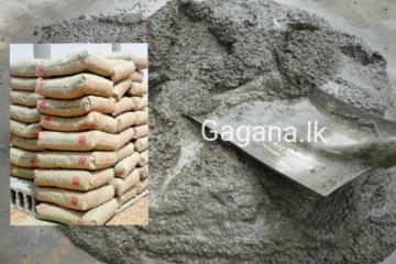 සිමෙන්ති කොට්ටයක මිලට එකවරම සිදු වූ දේ මෙන්න..