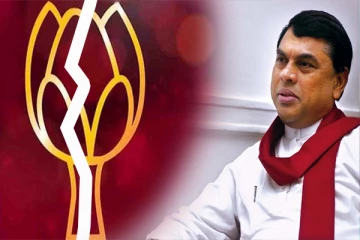 மொட்டுக்கட்சிக்குள் பிளவு: ரணிலை சந்திக்க அவசரமாக நாடு திரும்பிய பசில்