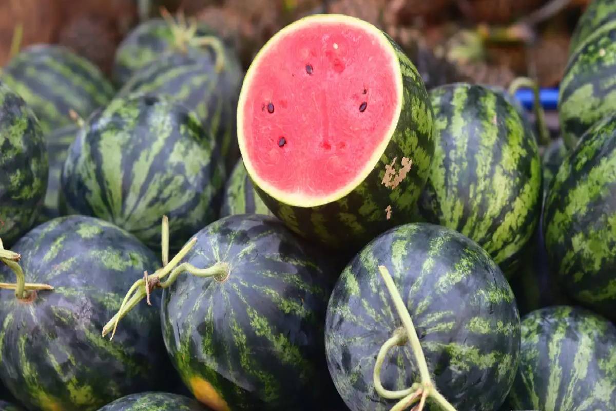 இனிப்பான நல்ல தர்பூசணி பழத்தை எப்படி பார்த்து வாங்குவது? | Things Consider When Buying Watermelon Red Sweet