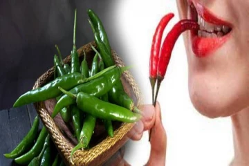 பச்சை மிளகாய் வலியை போக்குமா? இதன் அறிவியல் பற்றி தெரிஞ்சிக்கோங்க