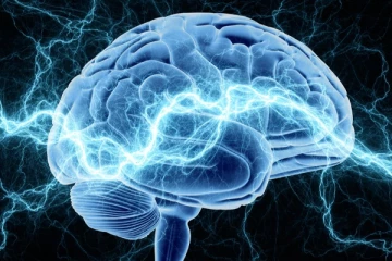 மின்சாரத்தை உற்பத்தி செய்யும் மனித மூளை…  எத்தனை வாட்ஸ் அளவு தெரியுமா? ஷாக்காகிடாதீங்க