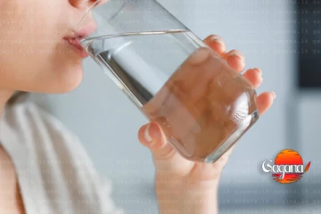 පානීය ජල‍ය ගැන භයානක රහසක් එළියට - මෙහෙම ගියොත් වතුර බීලත් ඉවරයි