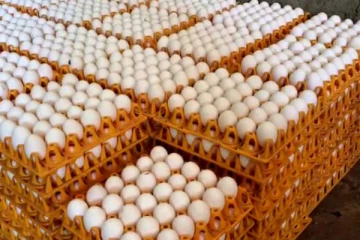 முட்டையின் விலையால் மக்கள் அதிர்ச்சி ; அம்பாறையில் புதிய விலை நிலைமை