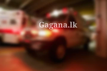 දිය මකුළුවෙක් සපා කාලා.. හිටපු අමාත්‍යවරයෙක් වහාම රෝහල්ගත කරයි..(PHOTO)