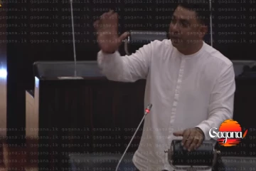 පාර්ලිමේන්තුව උණුසුම් කරමින් රෝහණගේ මරණ බිය උඩු දුවයි - මට ආරක්ෂාව දෙනවද නැද්ද කථානායක එක්කත් මල පනී