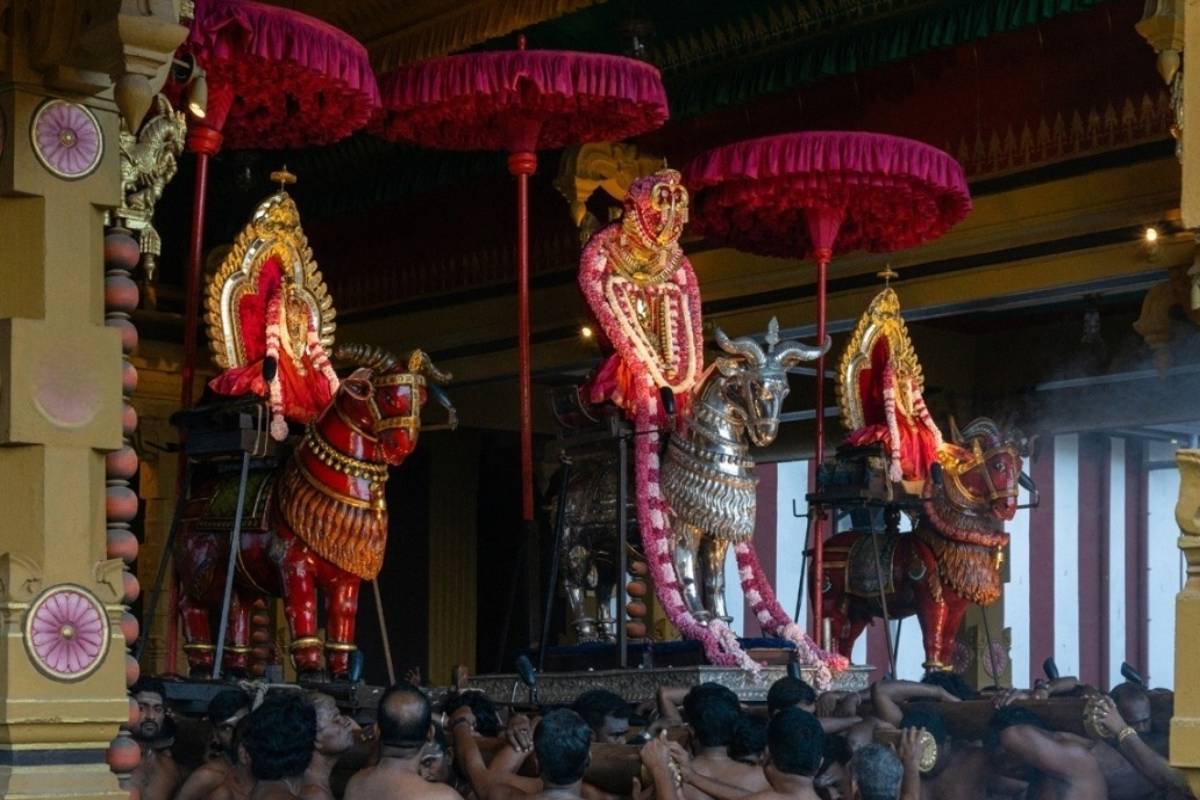 நல்லூர் கந்தசுவாமி ஆலய மகோற்சவம் ; வெகுவிமரிசையாக கொண்டாடப்பட்ட 15ஆம் திருவிழா சிறப்பு | 15Th Festival Of Nallur Kandaswamy Temple