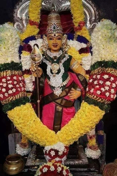 கேட்ட வரத்தை அருளும் திண்டல் முருகன்- அவர் நிகழ்த்திய அதிசயமும் வரலாறும் | Thindal Murugan Temple