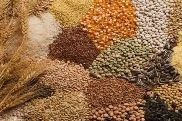 வன இலாகாக்குரிய காணியிலும் விவசாயம்! மஸ்தான் தெரிவிப்பு (Video) | Agriculture In The Land Of The Forest Department