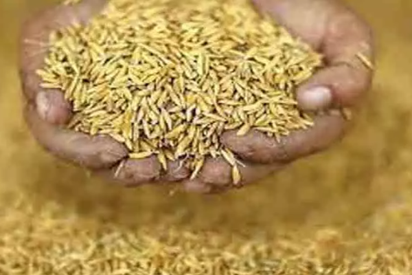 புதிய காப்புறுதித் திட்டம் ; விவசாயிகளுக்கு வெளியான மகிழ்ச்சி தகவல் | Good News For Farmers Government Insurance Scheme புதிய காப்புறுதித் திட்டம் ; விவசாயிகளுக்கு வெளியான மகிழ்ச்சி தகவல் | Good News For Farmers Government Insurance Scheme