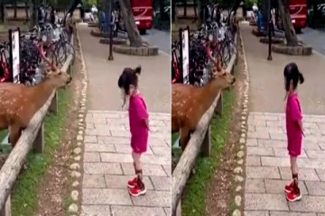 குழந்தையை வணங்கியப்படி சாப்பாட்டை பிடுங்கிய மான்! அசந்து நிற்கும் இணையவாசிகள்