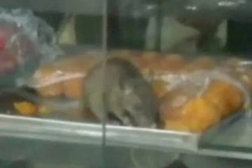 யாழில் எலி கடித்த உணவுப் பொருட்கள் விற்பனை